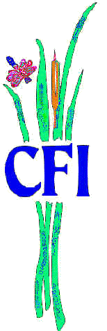 CFI - Color.JPG (12903 bytes)
